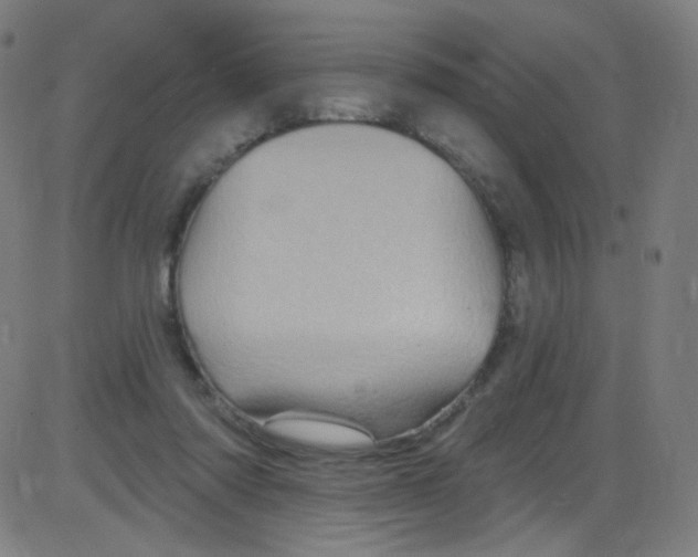 X0000084050310200703161903