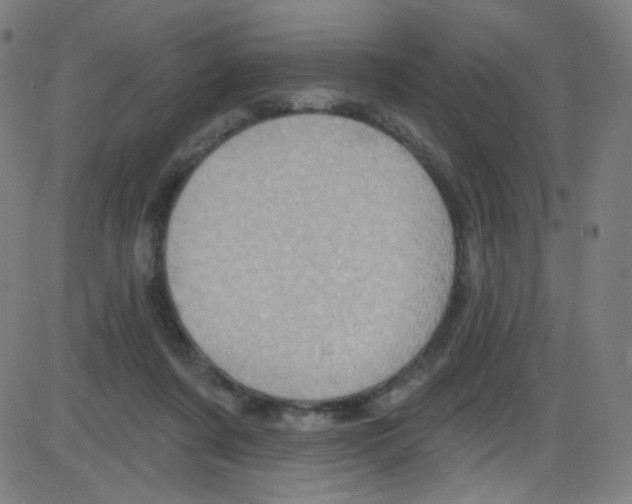 X0000084050311200703161903