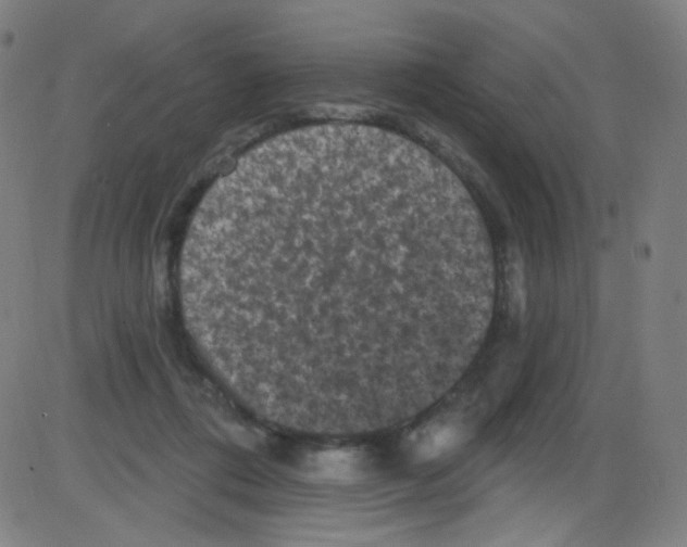 X0000084050312200703161903