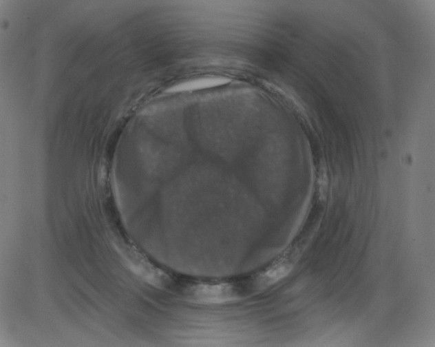 X0000084050314200703161903