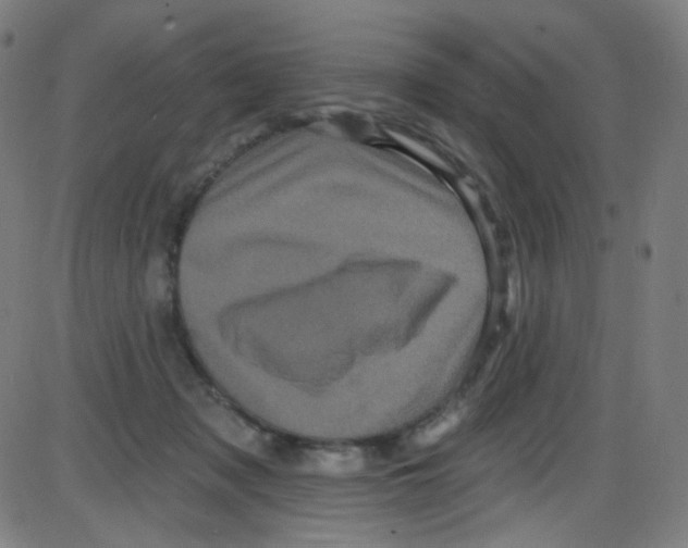 X0000084050317200703161903