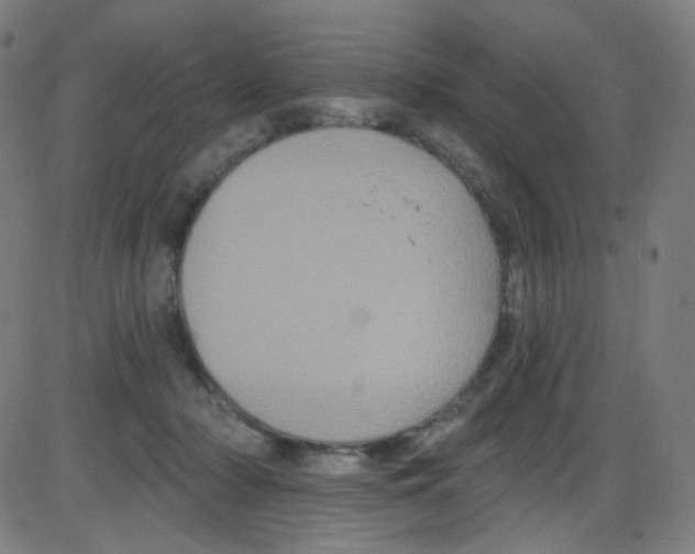 X0000084050318200703161903