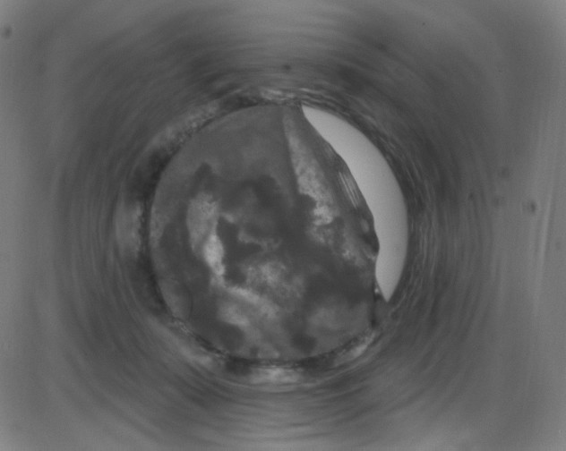 X0000084050319200703161903