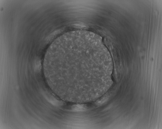 X0000084050320200703161903