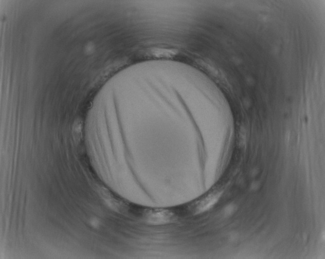 X0000084050321200703161903