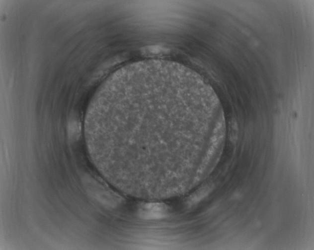 X0000084050324200703161903