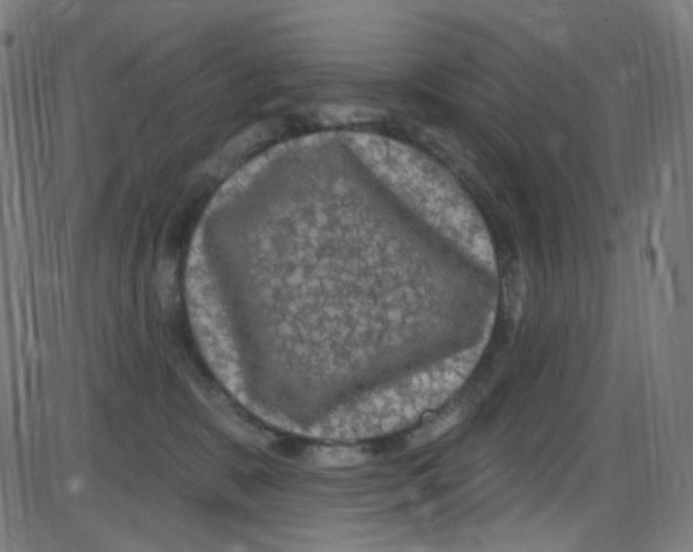 X0000084050327200703161903