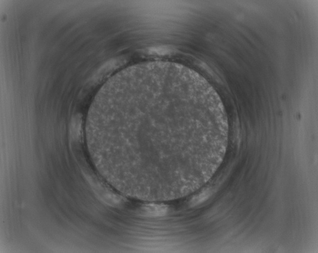 X0000084050328200703161903