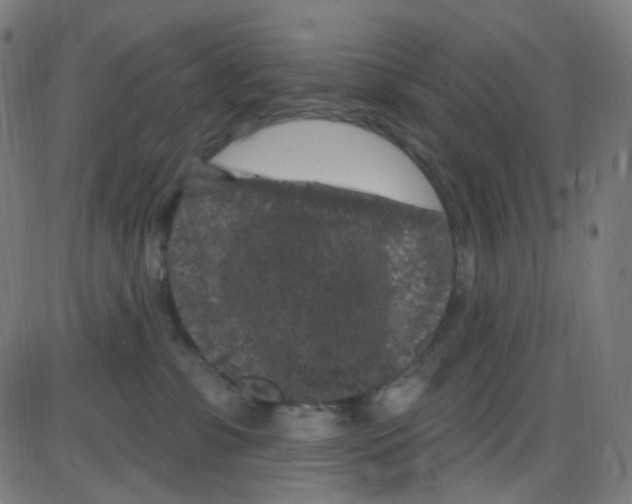 X0000084050331200703161903