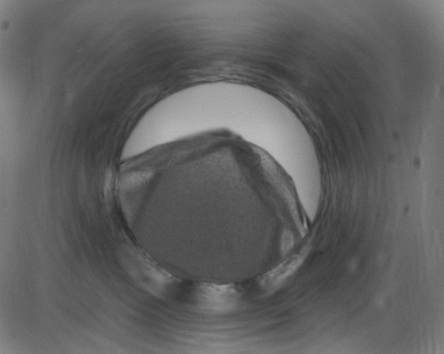 X0000084050333200703161903