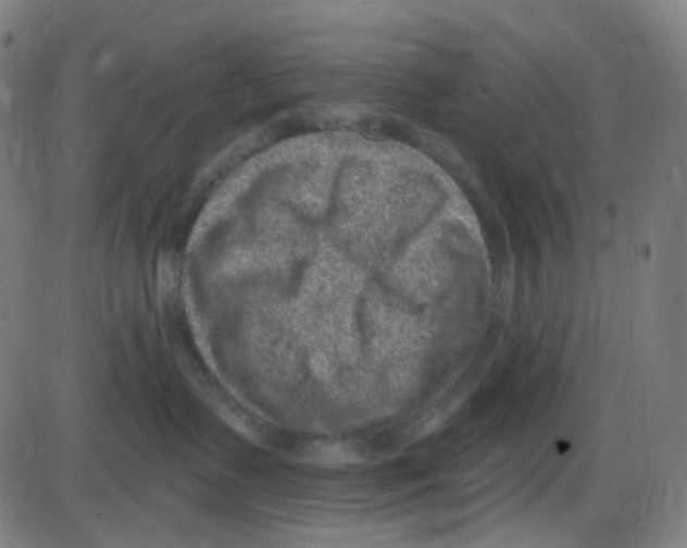 X0000084050335200703161903