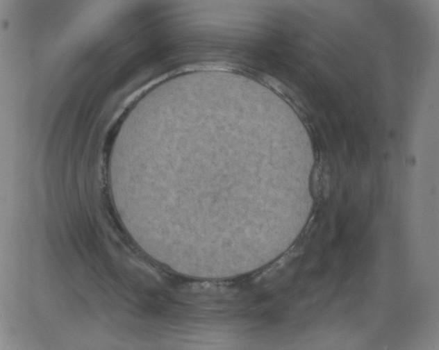 X0000084050338200703161902