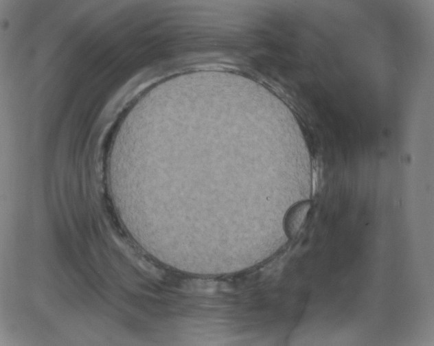 X0000084050339200703161902