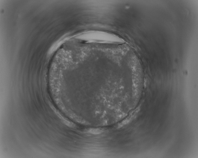 X0000084050341200703161902