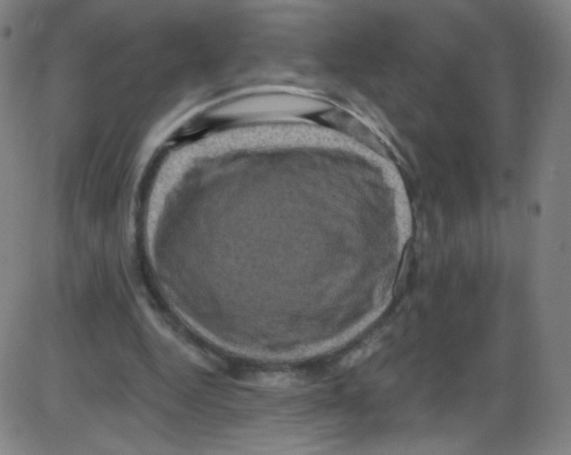 X0000084050344200703161902