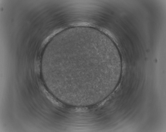 X0000084050345200703161902