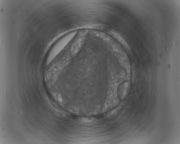 X0000084050346200703161902