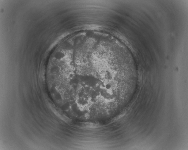 X0000084050347200703161902