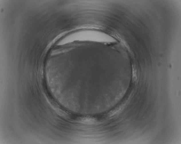 X0000084050348200703161902