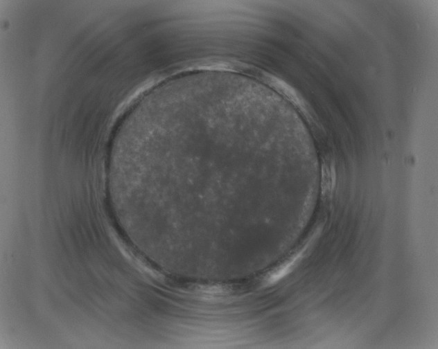 X0000084050349200703161902