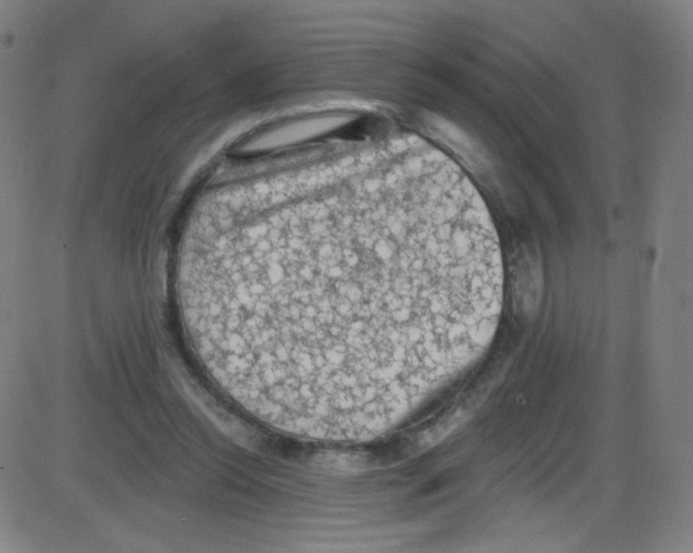 X0000084050350200703161902