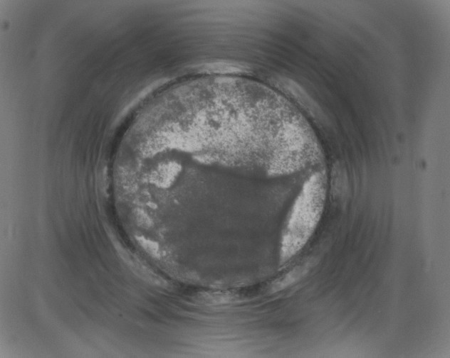 X0000084050351200703161902