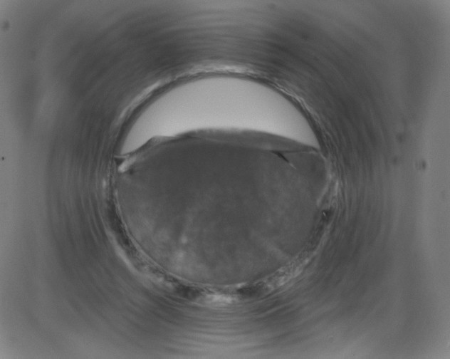 X0000084050352200703161902