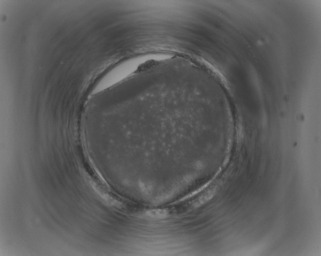 X0000084050353200703161902