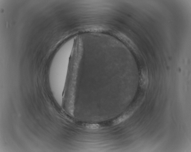 X0000084050355200703161902