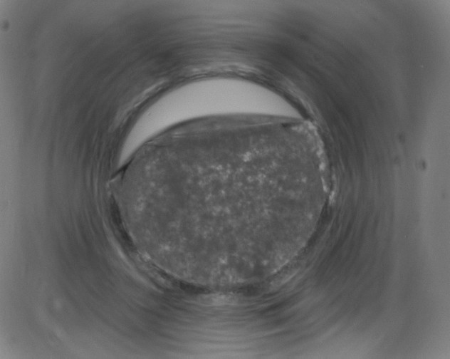 X0000084050356200703161902