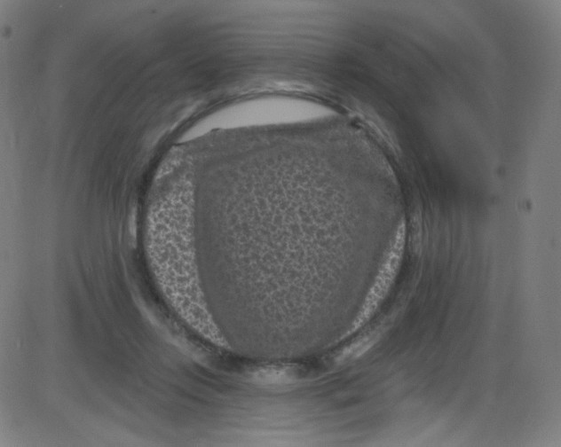 X0000084050358200703161902