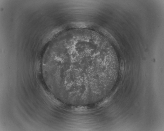 X0000084050359200703161902