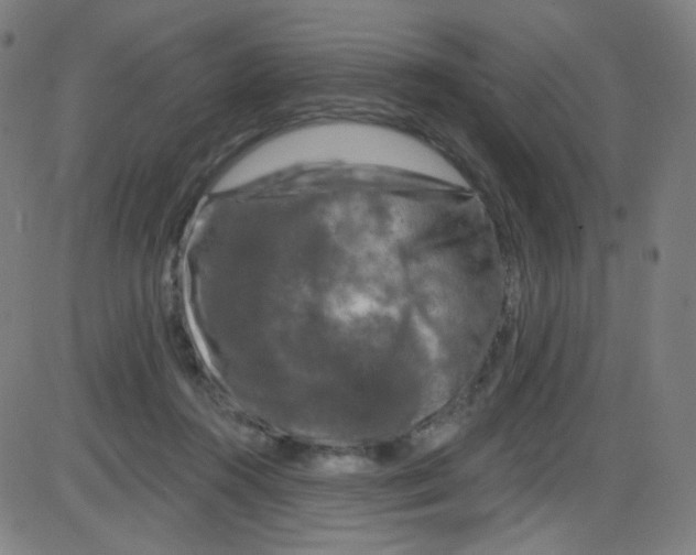 X0000084050360200703161903