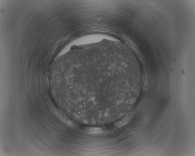 X0000084050361200703161903