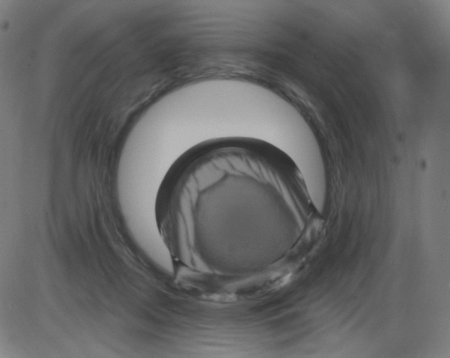 X0000084050362200703161903