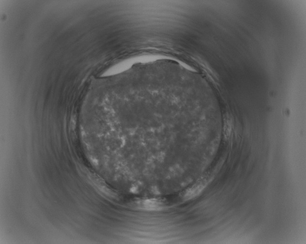 X0000084050365200703161903