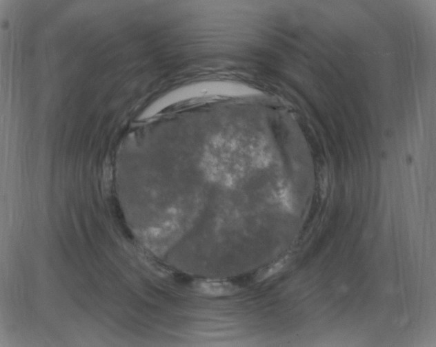 X0000084050372200703161903