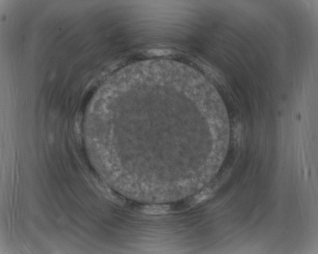 X0000084050373200703161903