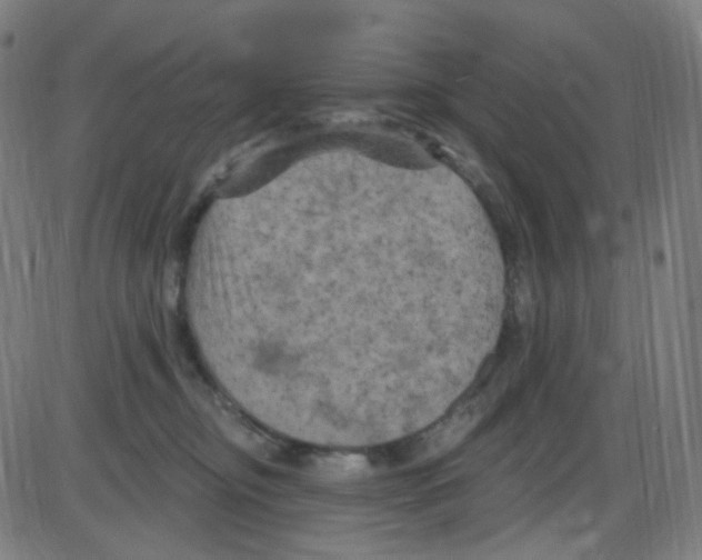 X0000084050374200703161903