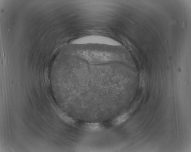 X0000084050377200703161903