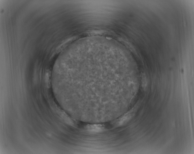 X0000084050378200703161903