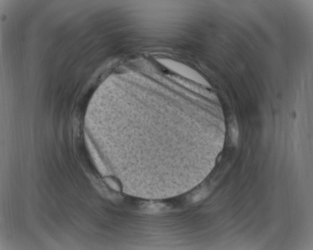 X0000084050379200703161903