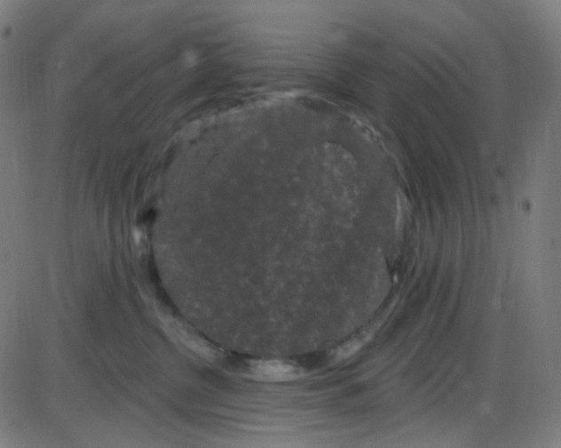 X0000084050380200703161903