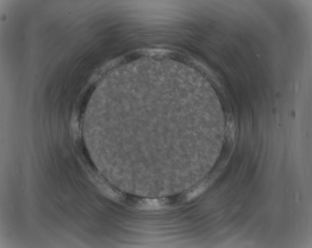 X0000084050381200703161903