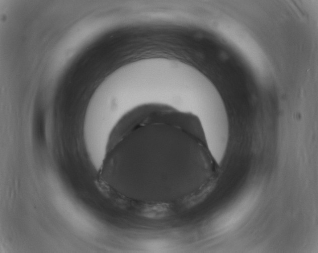 X0000084050382200703161903