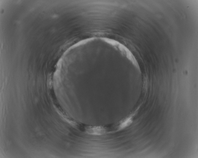 X0000084050383200703161903