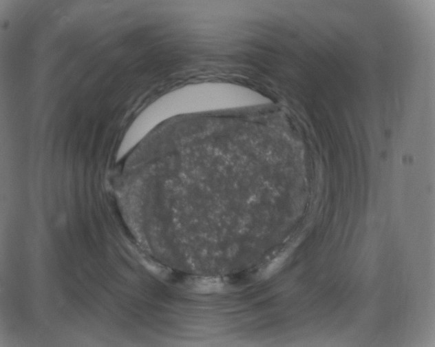 X0000084050384200703161903