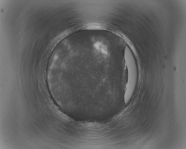 X0000084050385200703161902