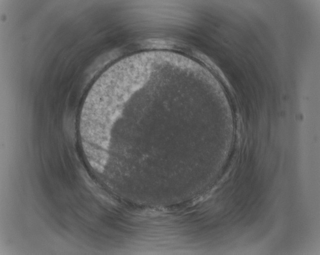 X0000084050386200703161902