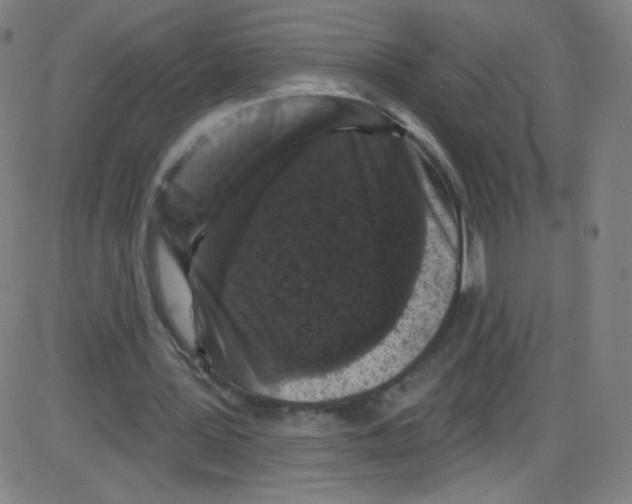 X0000084050387200703161902